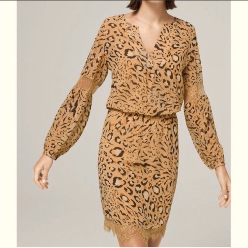 COPY - WHBM leopard print blouson v-neck dress